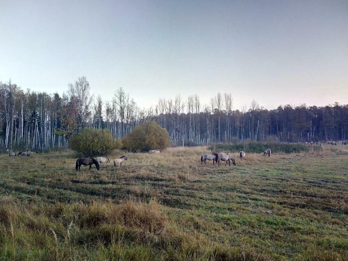 Kemeri Hotel In National Park - Free Parking Jūrkalne エクステリア 写真