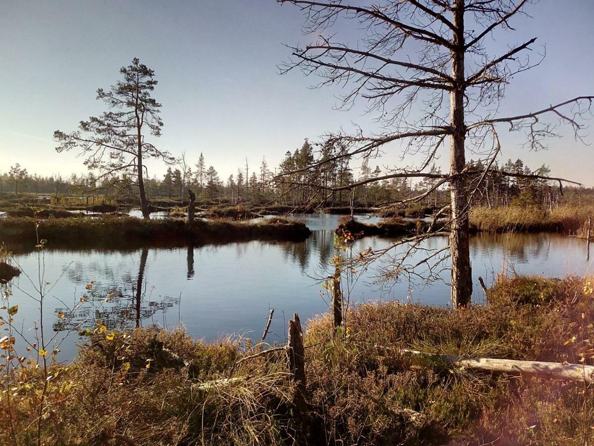 Kemeri Hotel In National Park - Free Parking Jūrkalne エクステリア 写真